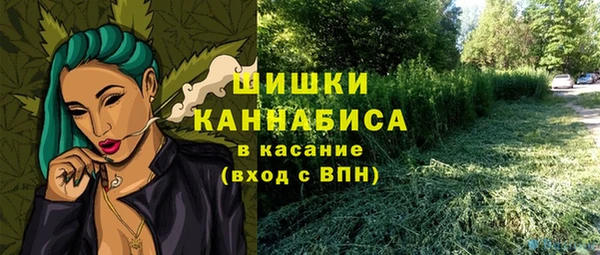 бошки Коряжма
