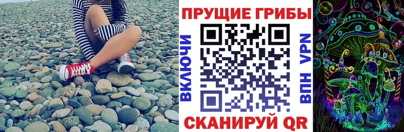 Галлюциногенные грибы мицелий  ссылка на мегу вход  Южно-Сухокумск 